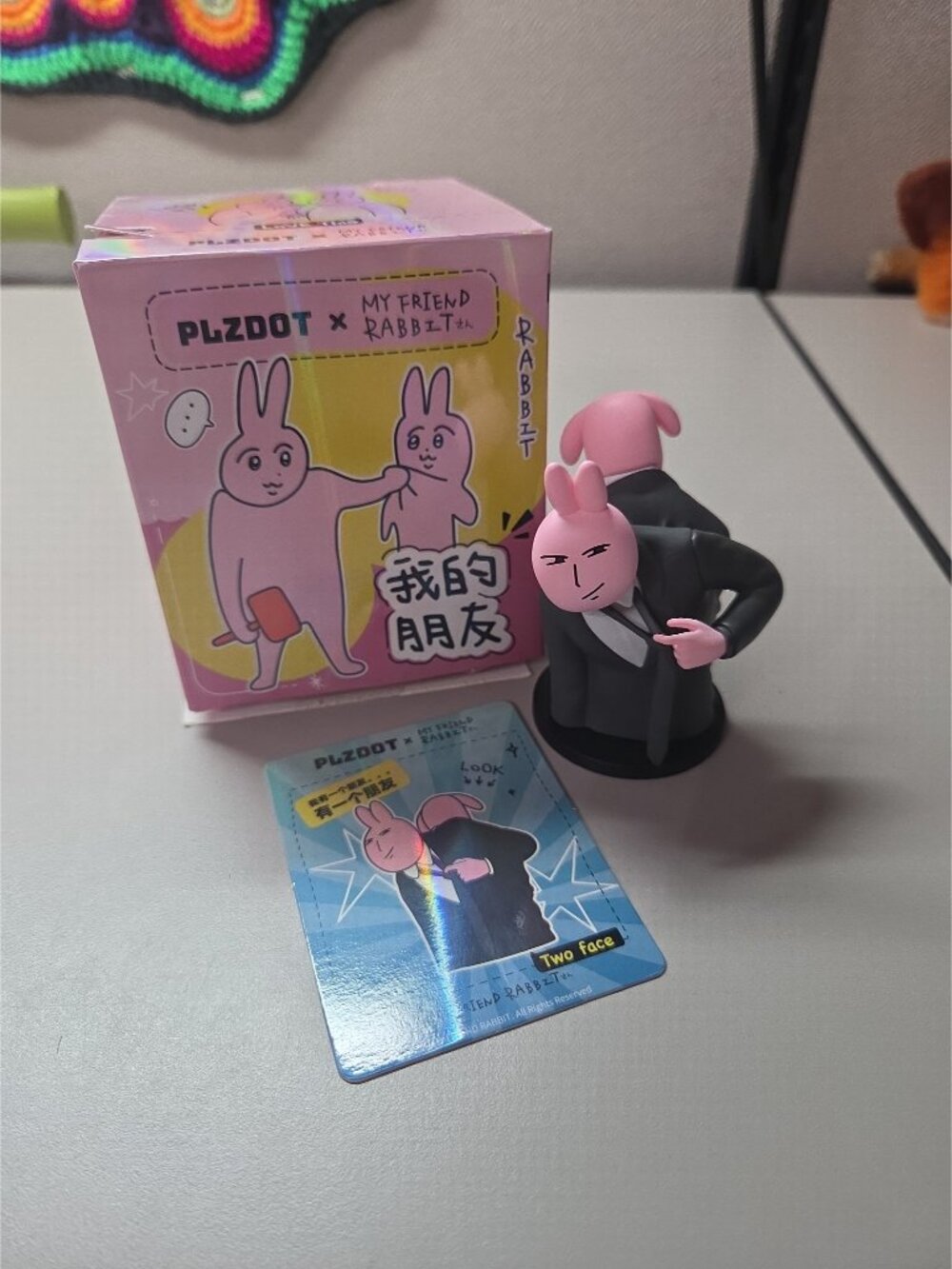 PLZDOT My friend rabbit - two face